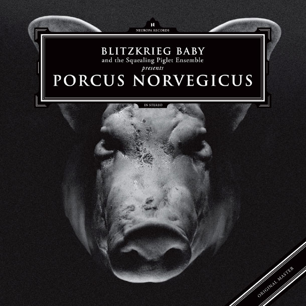 Porcus Norvegicus