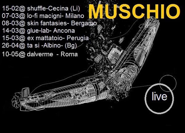 Muschio