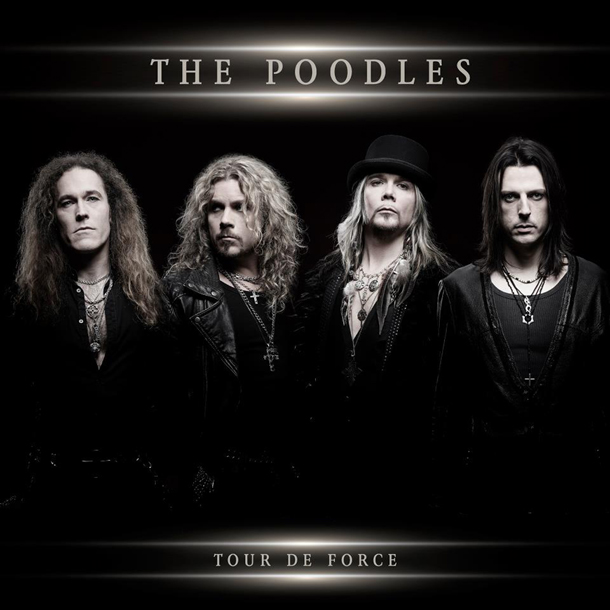 the poodles