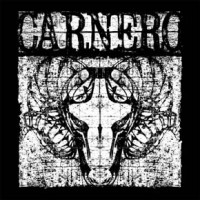 Carnero2