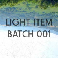 Light Item1