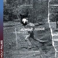 jungle judge2