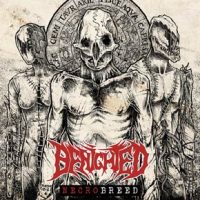 benighted2