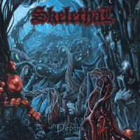 skelethal2