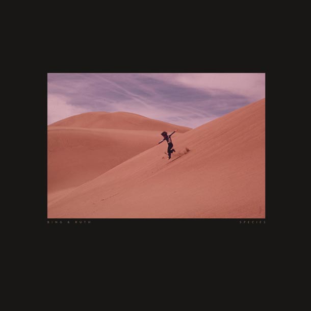 Pangea 175 Pangea 175